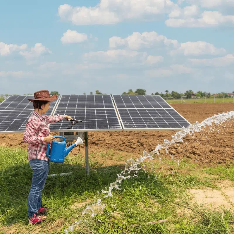 Celebrating 25 Years of Off-Grid Living with Solarwyse Solar Power Solutions