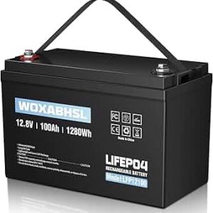 SWE LiFePO4 12V/100Ah Lithium Battery w. BT and Heater