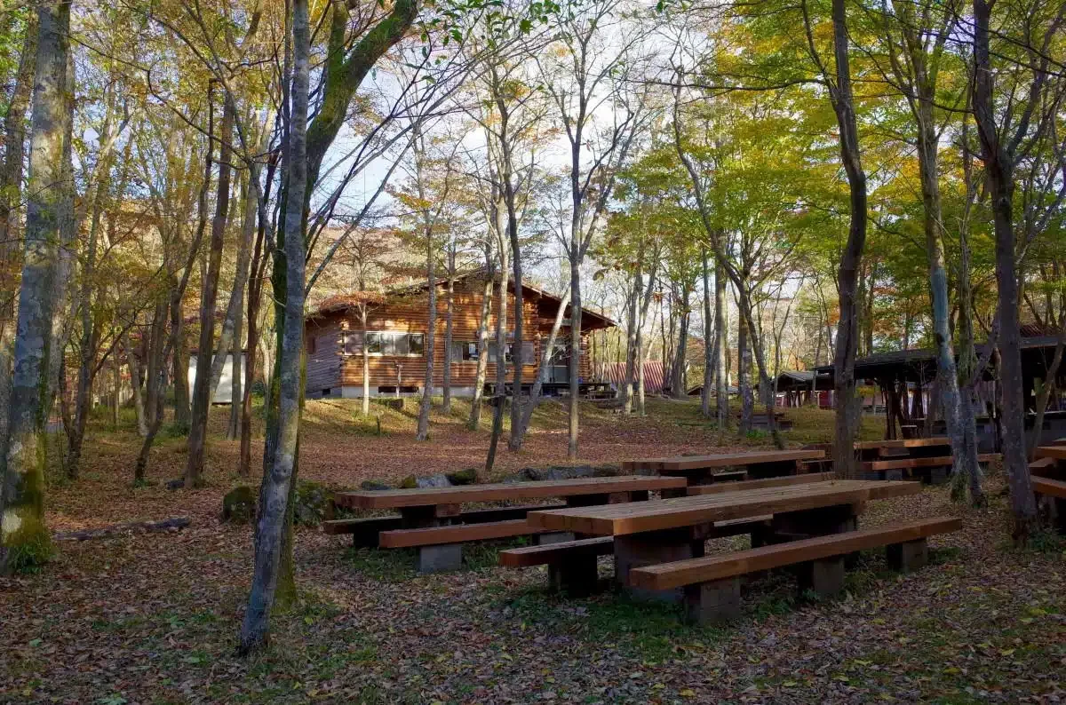 Ultimate Cabin solar package - year-round off-grid power system